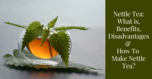 Top 8 Benefits Of Nettle Tea + Side Effects + How To Make It